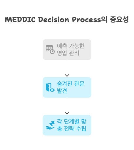 meddic decision process